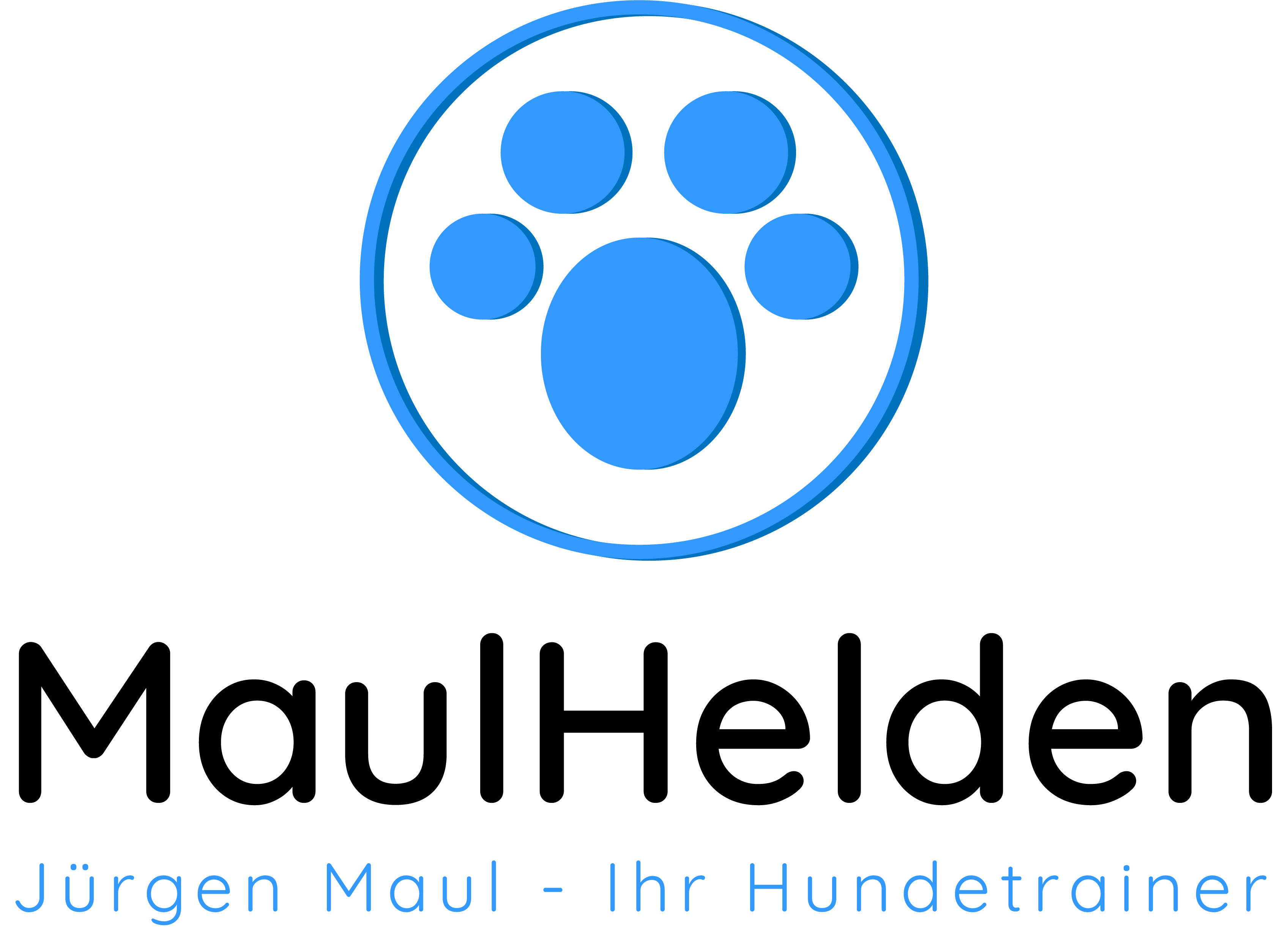 logo maulhelden